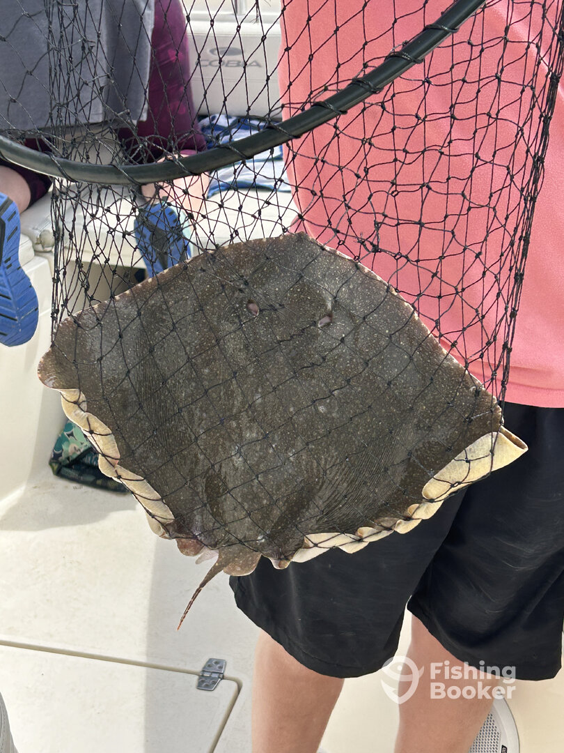 Murrells Inlet Report Photo 0