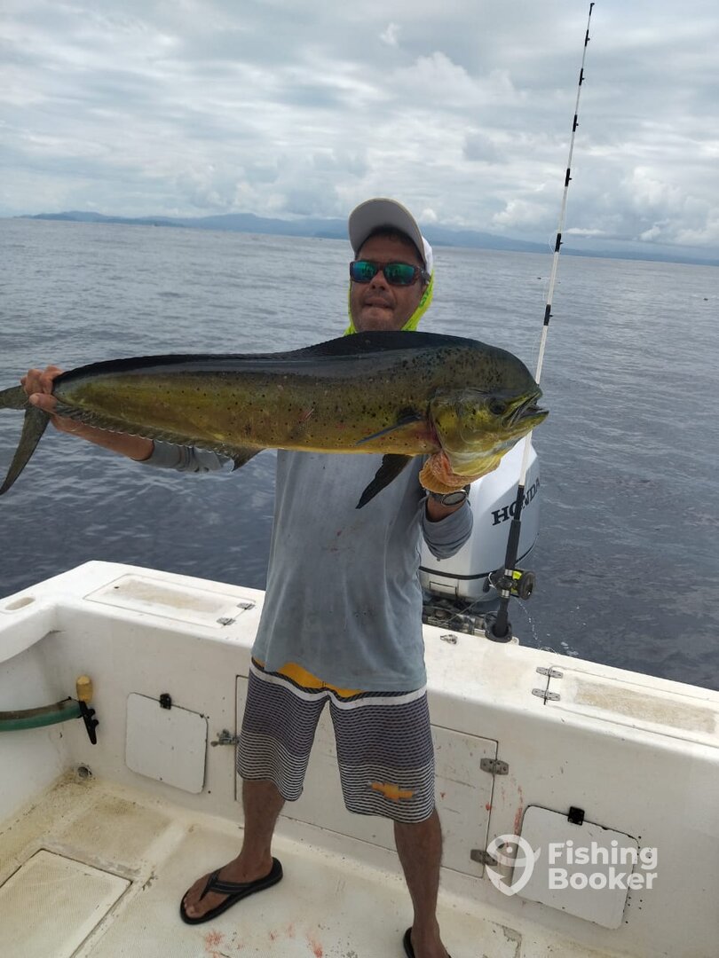 Herradura Report Photo 0