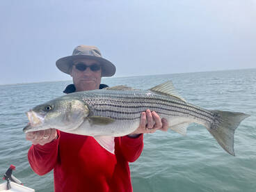 Chatham Report Photo 1