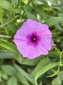 Venice Report Photo 1