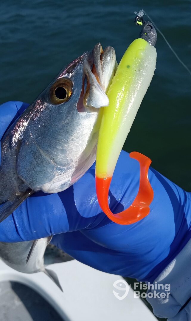 South Padre Island Report Photo 0