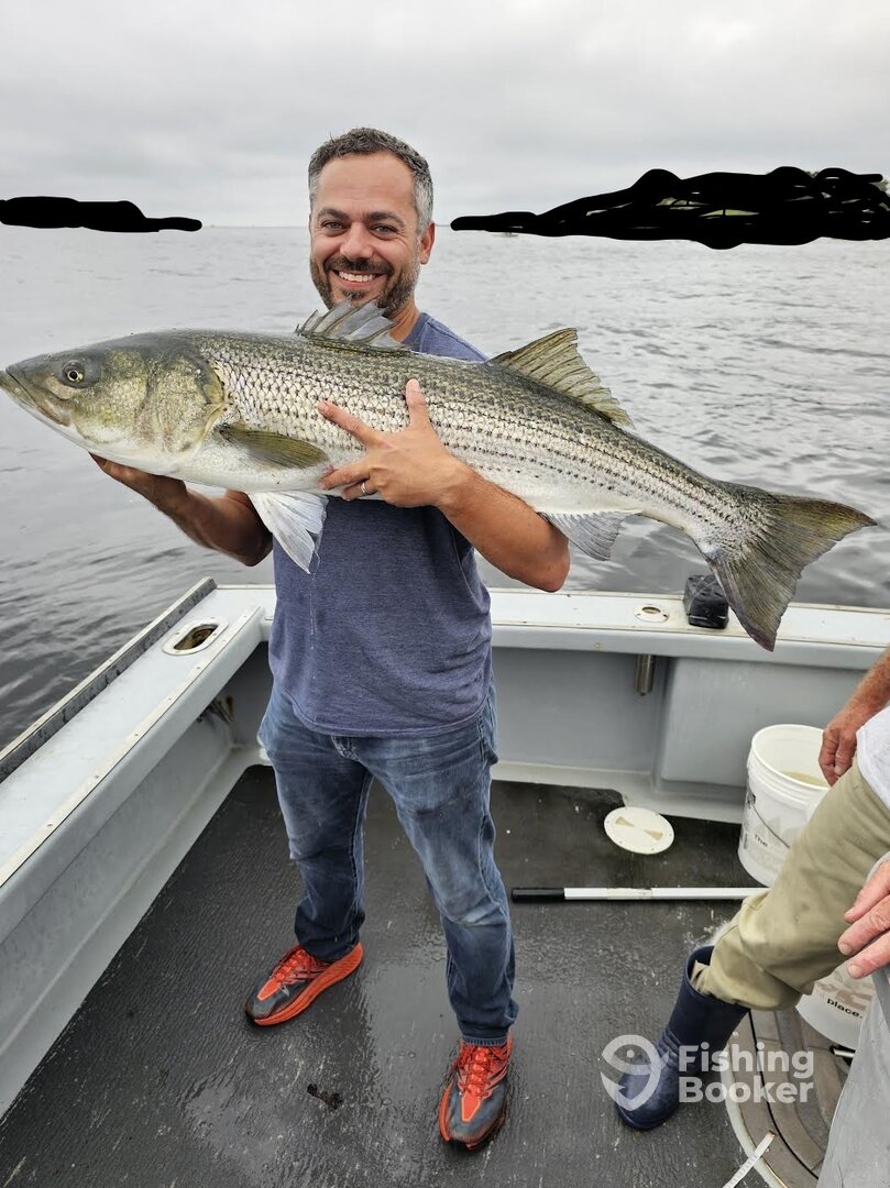 Gloucester Report Photo 0