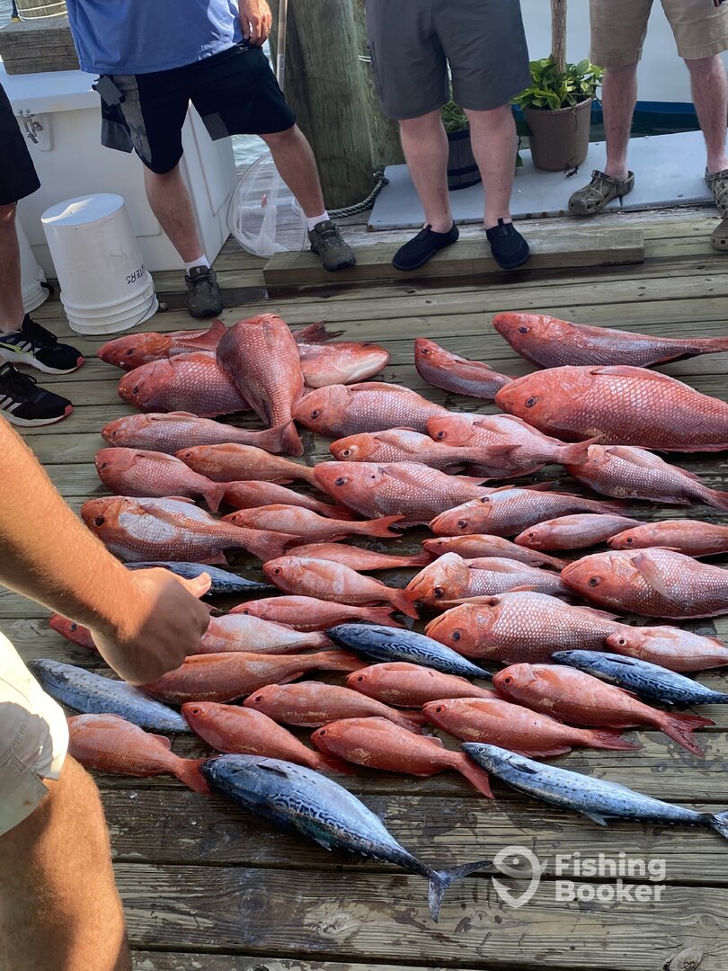 Orange Beach Report Photo 0