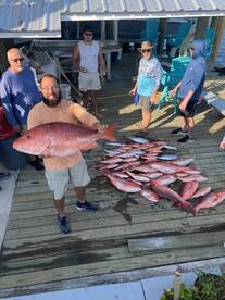 Orange Beach Report Photo 1