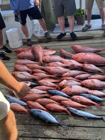 Deep Sea Fishing Orange Beach, Alabama