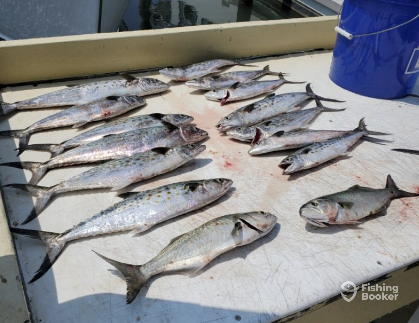 Virginia Beach Report Photo 0