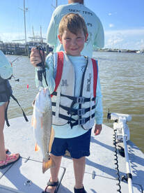 Palacios Report Photo 1