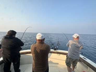 Algoma Report Photo 1