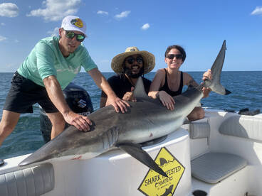 Shark Fishing is heating up!