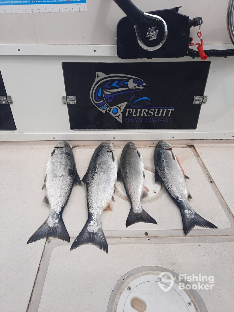 Richmond Report Photo 0