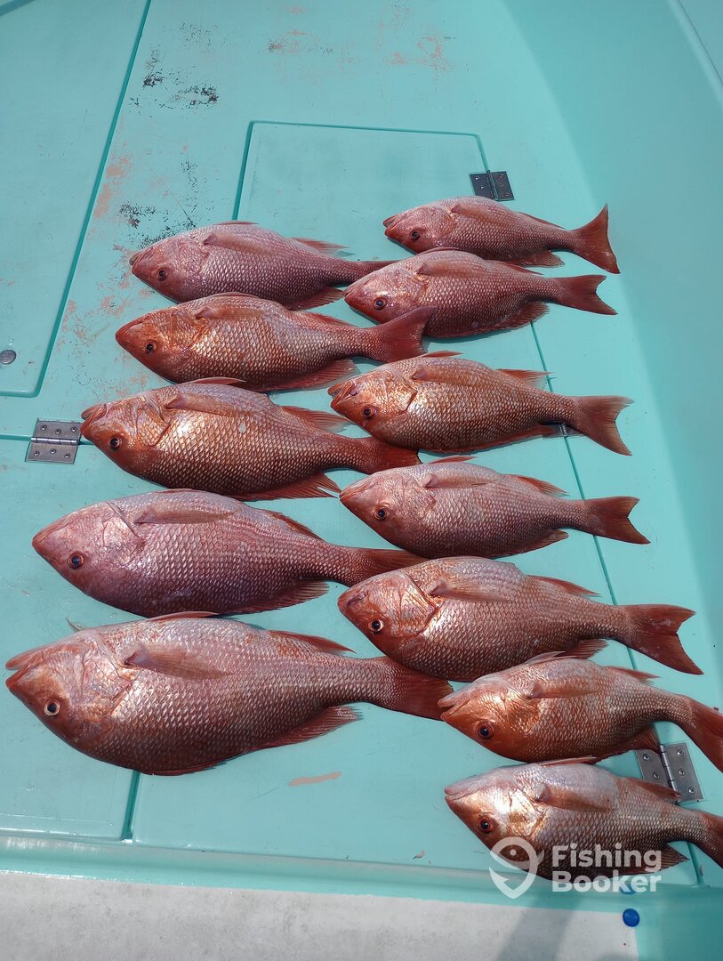 Destin Report Photo 0