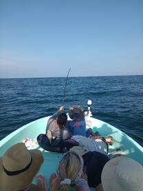 Destin Report Photo 1