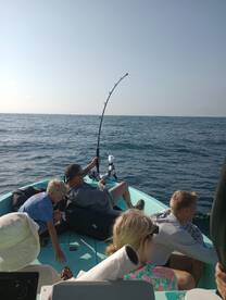 Destin Report Photo 2