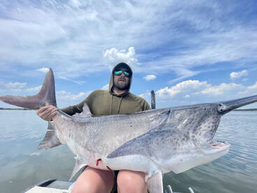 ‼️BIG FISH ALERT‼️