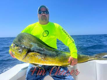 Cabo San Lucas Report Photo 1