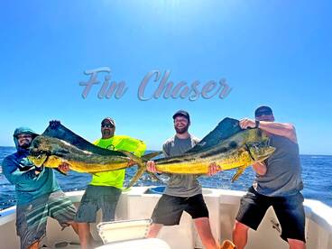 Trophy Dorado! 45lbs & 35lbs