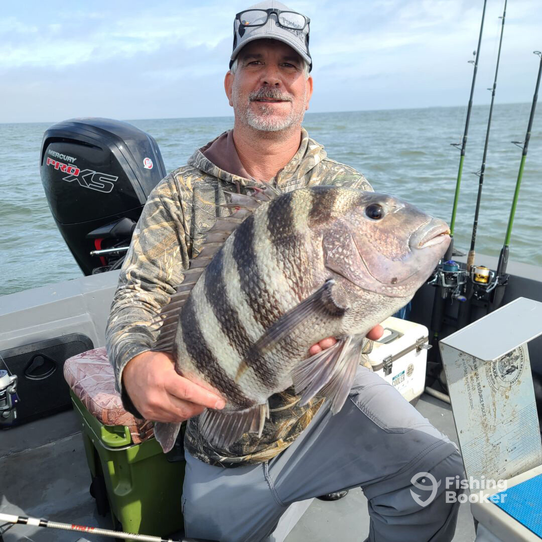 Lewes Report Photo 0