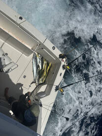 Bridgetown Report Photo 3