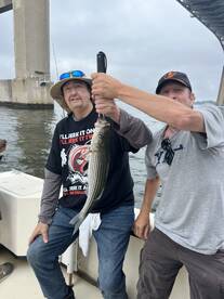 Stevensville Report Photo 2