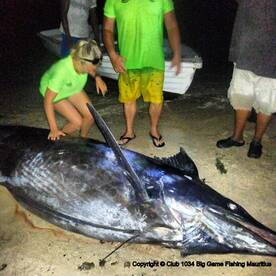 517Kg blue marlin caught on Lady Diana