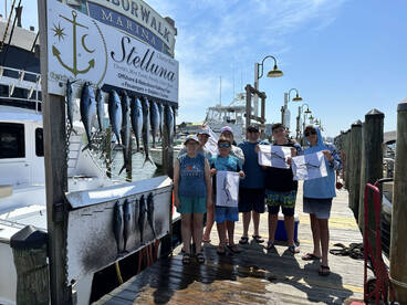 Destin Report Photo 1