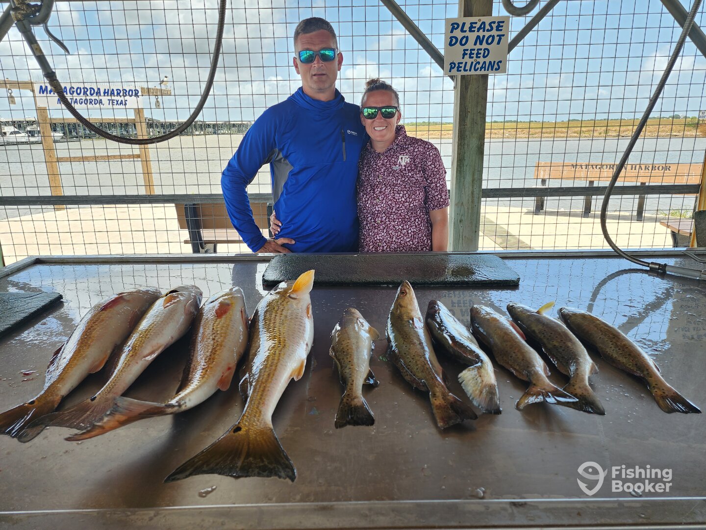 Matagorda Report Photo 0