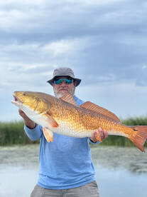 Venice Report Photo 1