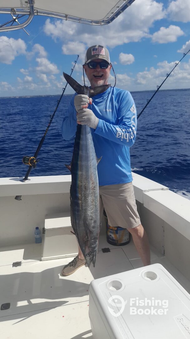 wahoo (35lb)