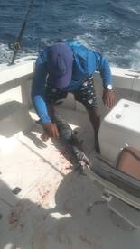 La Romana Report Photo 1