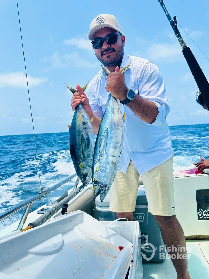 Cabo San Lucas Report Photo 0