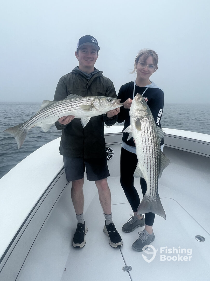 Dennis Report Photo 0