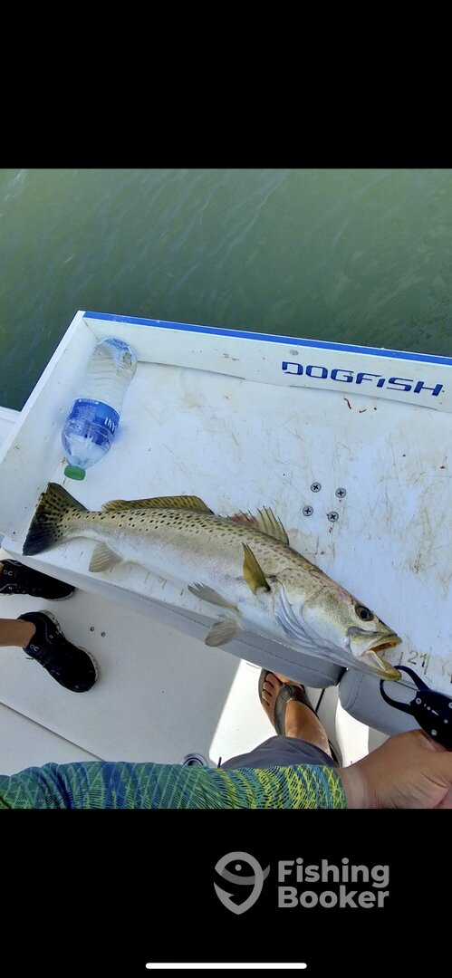 Cape Coral Report Photo 0