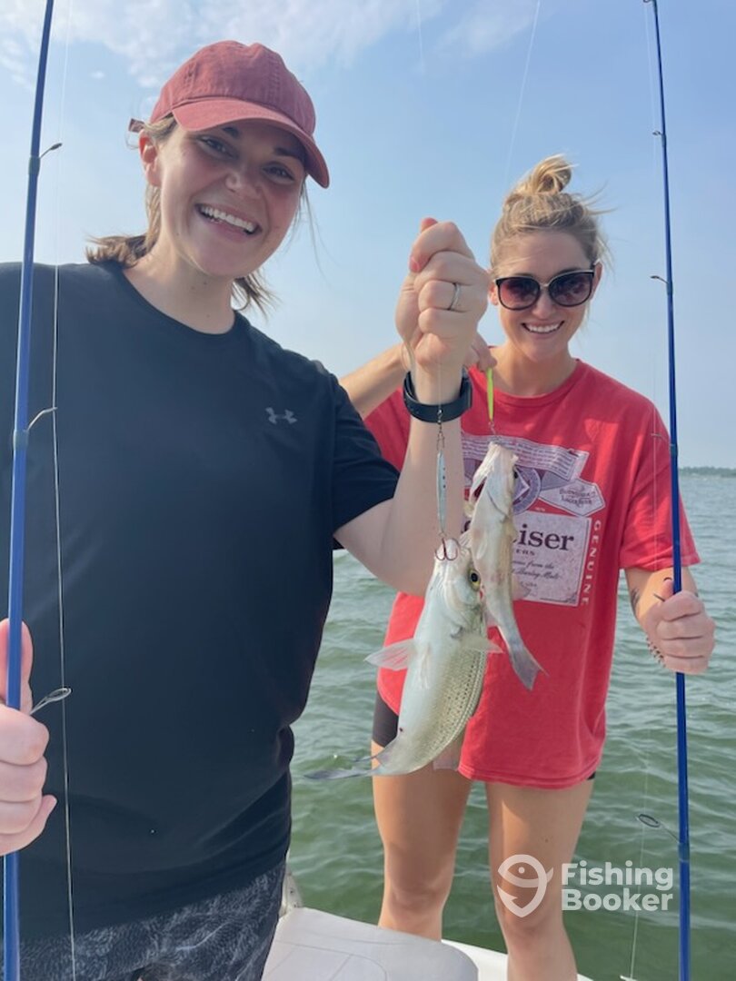 Grapevine Report Photo 0