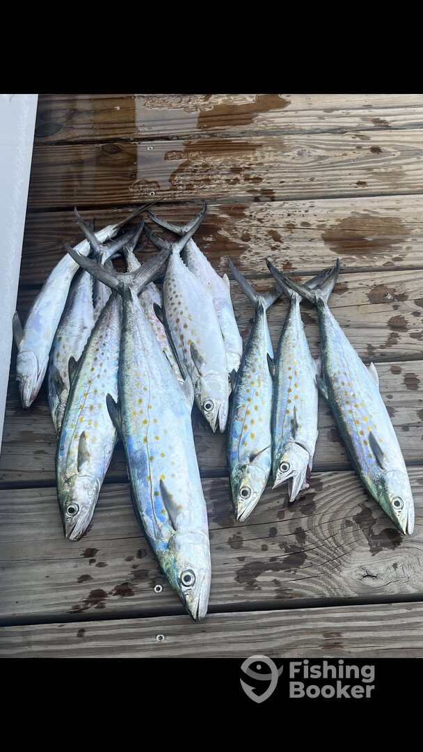 North Myrtle Beach Report Photo 0