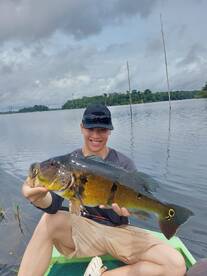 Amazon Report Photo 2