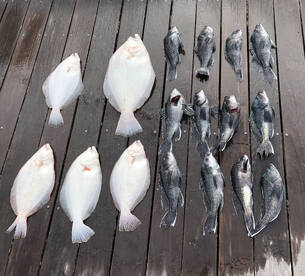 2 half day trips today