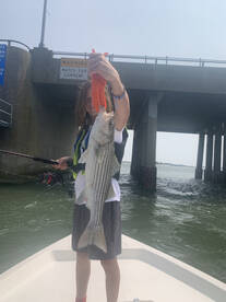 Ocean City Report Photo 2