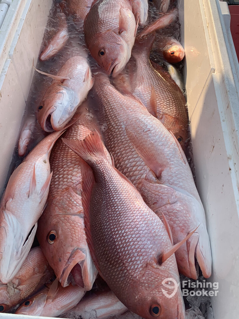 Panama City Beach Report Photo 0