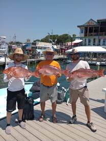 Destin Report Photo 1