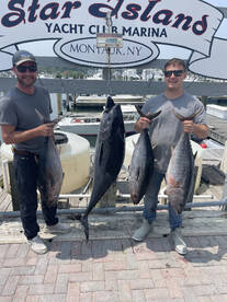 TUNA FISHING IS GOING OFF