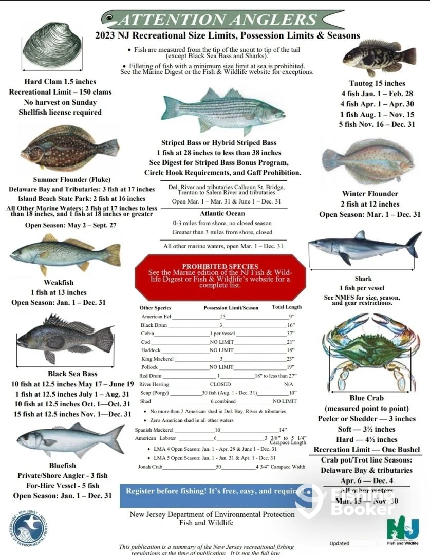 Point Pleasant Report Photo 0