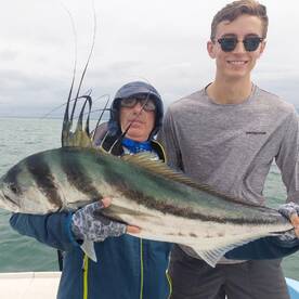 Quepos Report Photo 1