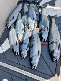 Resident Coho fishing in Seattle
