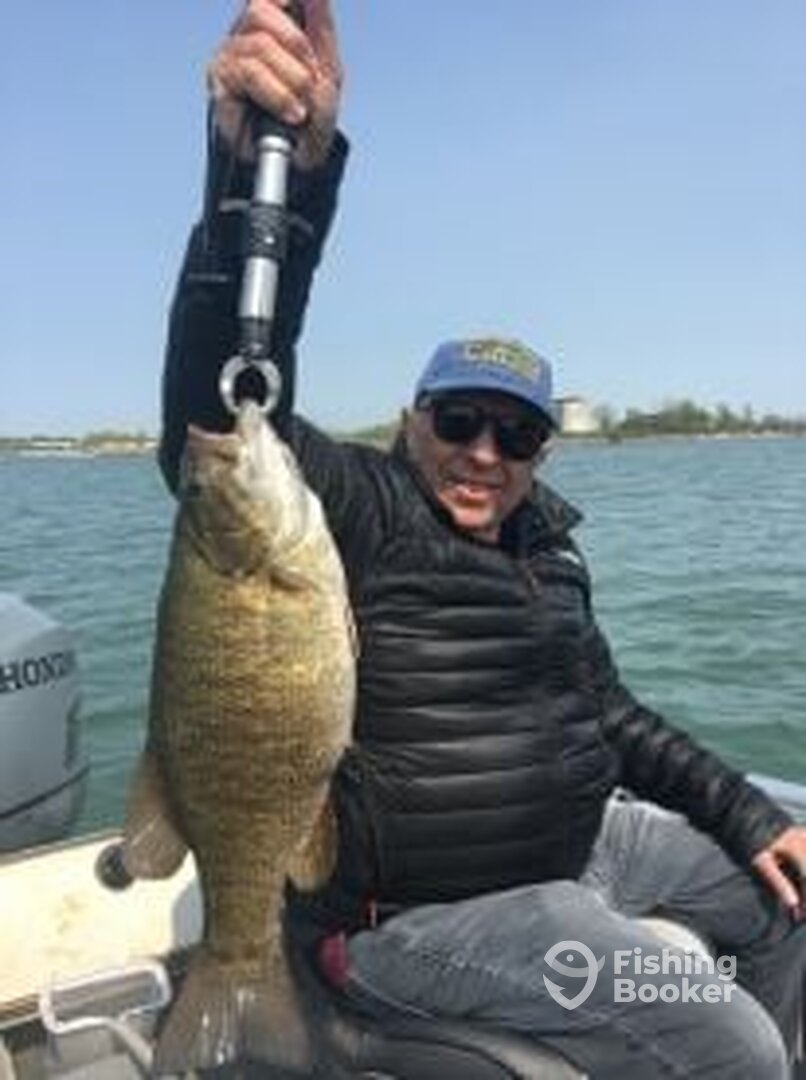 Buffalo Report Photo 0