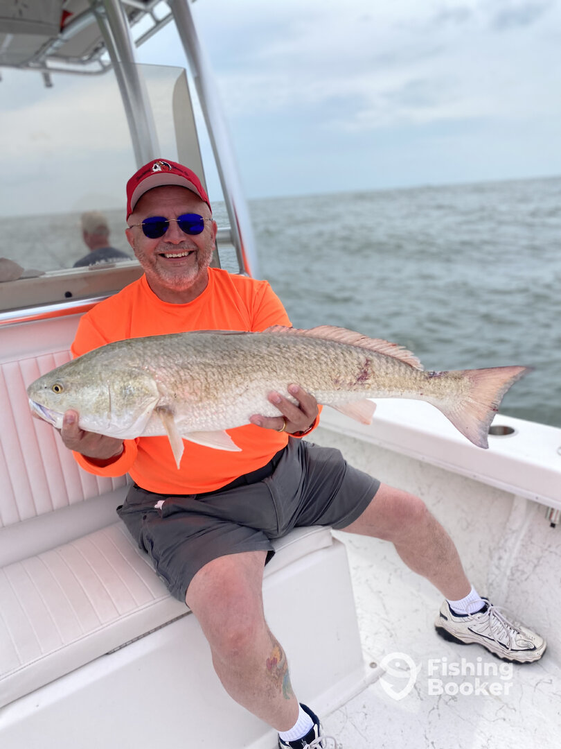 Port Orange Report Photo 0