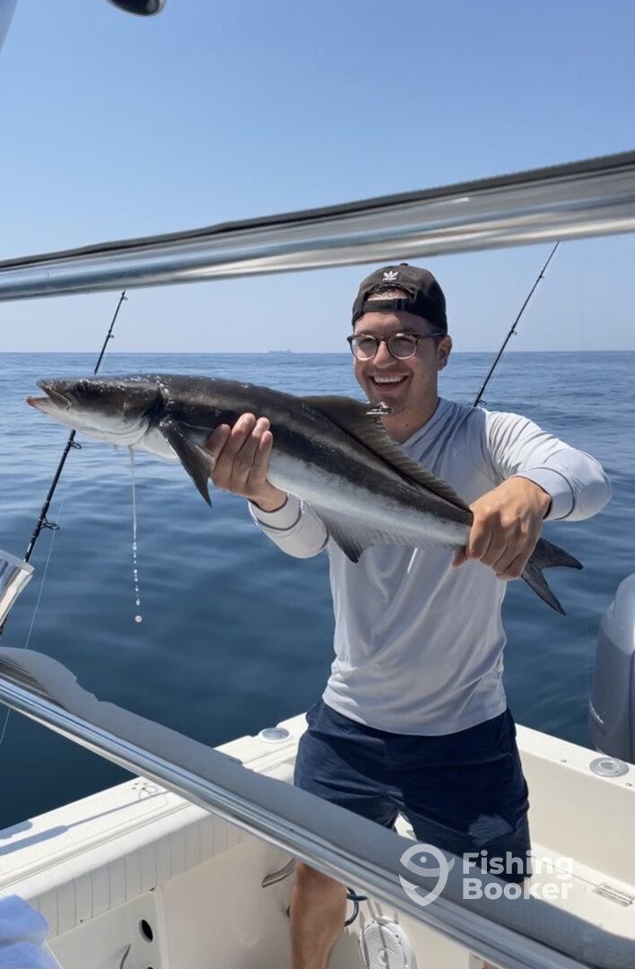 Hilton Head Island Report Photo 0