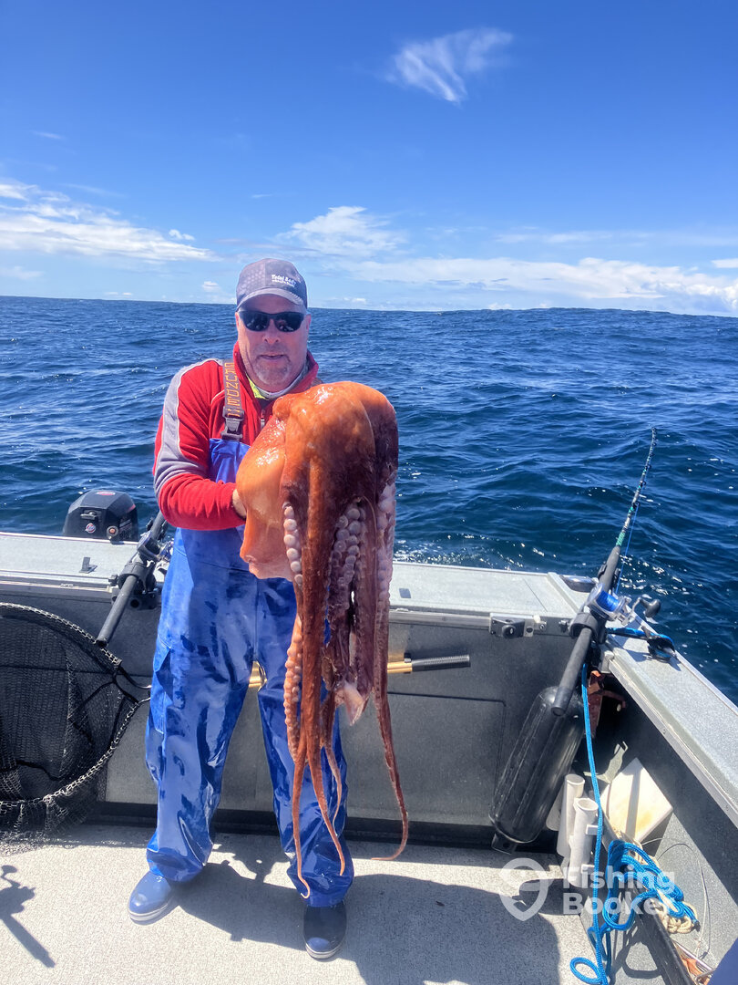 Newport Report Photo 0