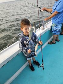 Solomons Report Photo 2