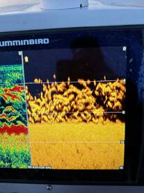 Wagoner Report Photo 1