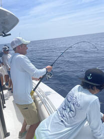 Gulfport Report Photo 2